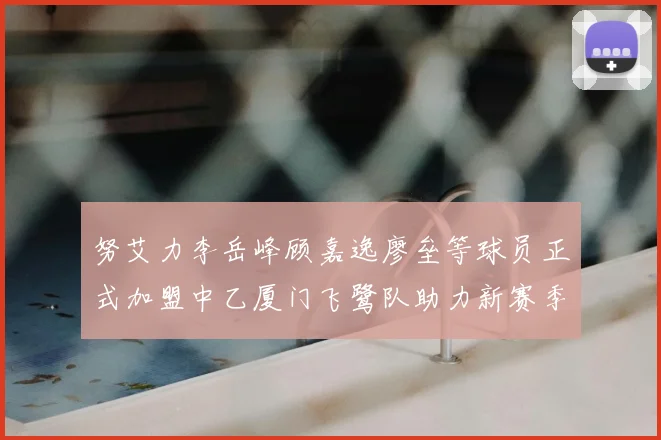 努艾力李岳峰顾嘉逸廖垒等球员正式加盟中乙厦门飞鹭队助力新赛季