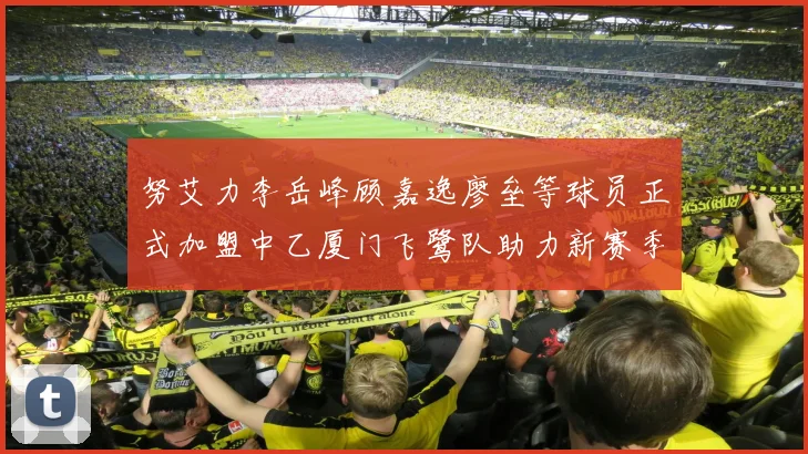 努艾力李岳峰顾嘉逸廖垒等球员正式加盟中乙厦门飞鹭队助力新赛季