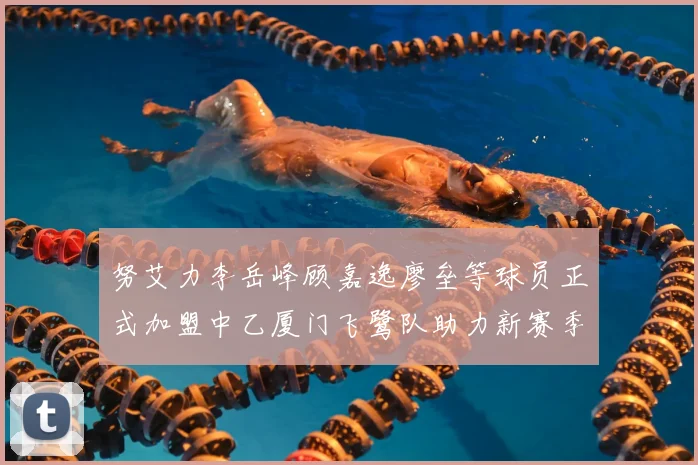 努艾力李岳峰顾嘉逸廖垒等球员正式加盟中乙厦门飞鹭队助力新赛季