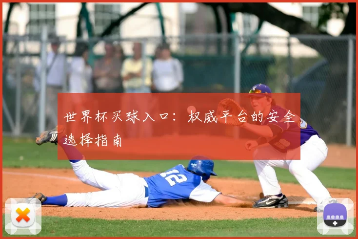世界杯买球入口:权威平台的安全选择指南