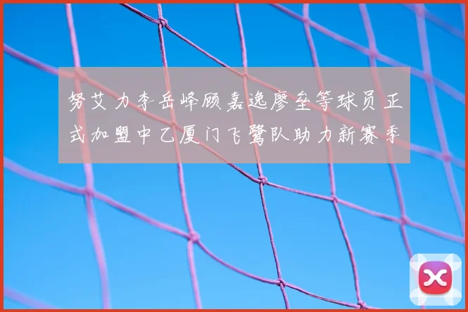 努艾力李岳峰顾嘉逸廖垒等球员正式加盟中乙厦门飞鹭队助力新赛季