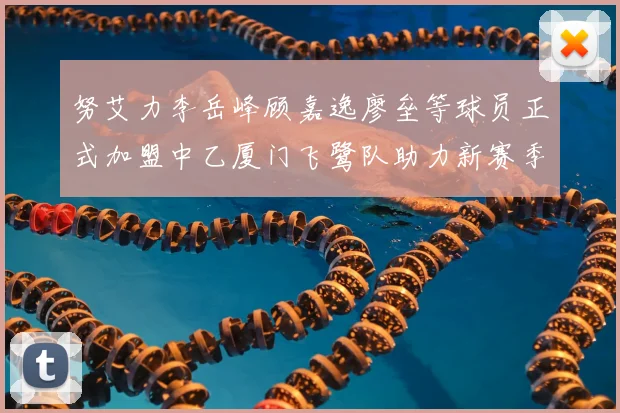 努艾力李岳峰顾嘉逸廖垒等球员正式加盟中乙厦门飞鹭队助力新赛季