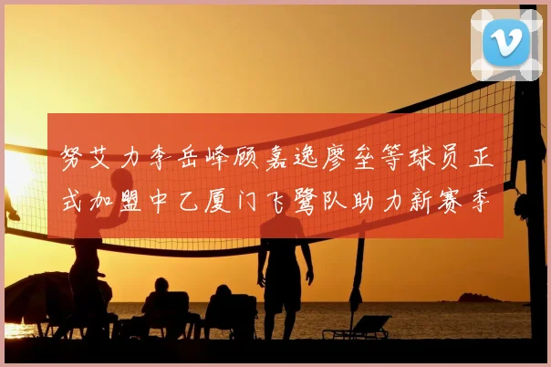 努艾力李岳峰顾嘉逸廖垒等球员正式加盟中乙厦门飞鹭队助力新赛季