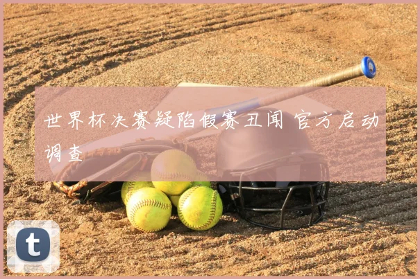 世界杯决赛疑陷假赛丑闻 官方启动调查