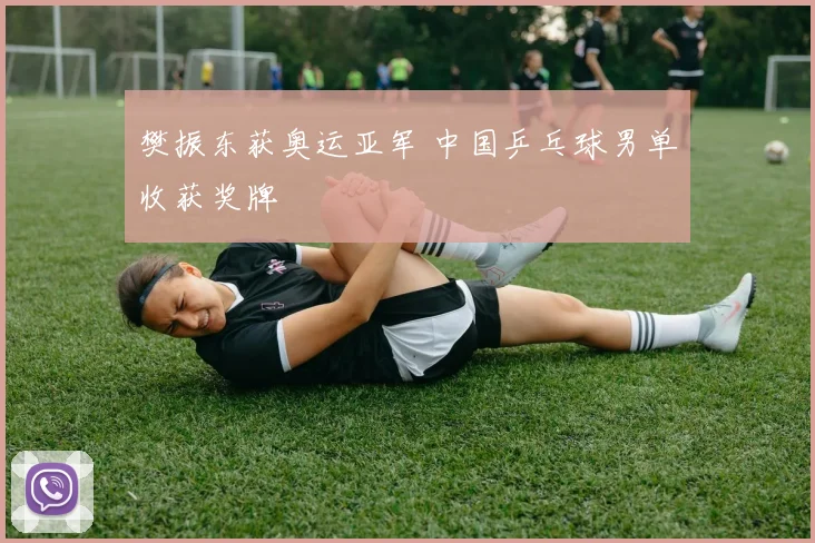 樊振东获奥运亚军 中国乒乓球男单收获奖牌