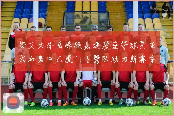 努艾力李岳峰顾嘉逸廖垒等球员正式加盟中乙厦门飞鹭队助力新赛季