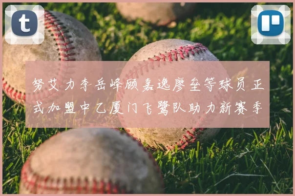 努艾力李岳峰顾嘉逸廖垒等球员正式加盟中乙厦门飞鹭队助力新赛季
