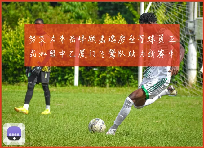 努艾力李岳峰顾嘉逸廖垒等球员正式加盟中乙厦门飞鹭队助力新赛季
