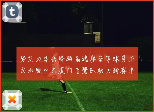 努艾力李岳峰顾嘉逸廖垒等球员正式加盟中乙厦门飞鹭队助力新赛季