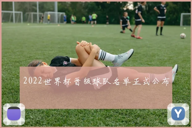 2022世界杯晋级球队名单正式公布
