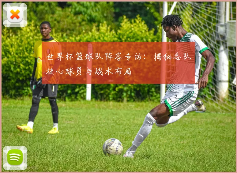 世界杯篮球队阵容专访:揭秘各队核心球员与战术布局