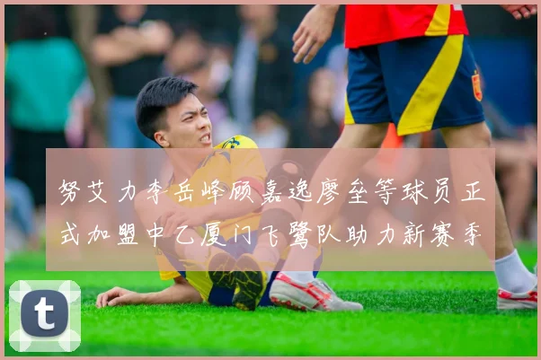 努艾力李岳峰顾嘉逸廖垒等球员正式加盟中乙厦门飞鹭队助力新赛季