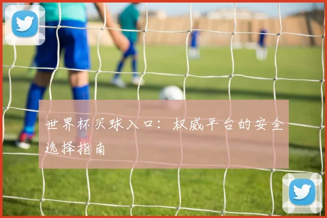 世界杯买球入口:权威平台的安全选择指南