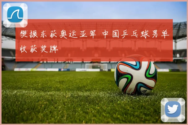 樊振东获奥运亚军 中国乒乓球男单收获奖牌