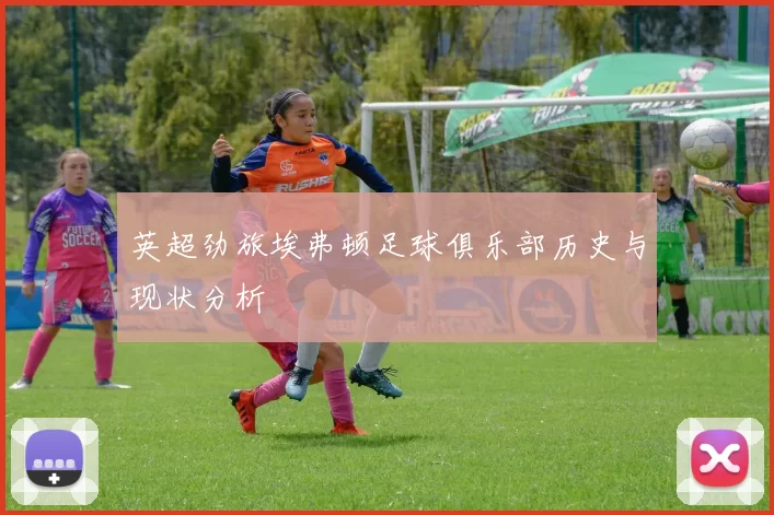 英超劲旅埃弗顿足球俱乐部历史与现状分析