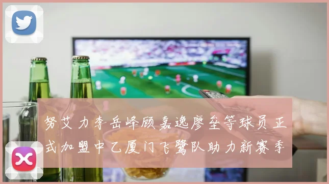 努艾力李岳峰顾嘉逸廖垒等球员正式加盟中乙厦门飞鹭队助力新赛季