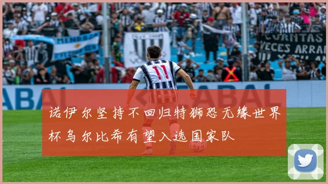 诺伊尔坚持不回归特狮恐无缘世界杯乌尔比希有望入选国家队