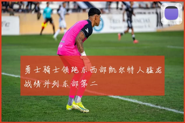 勇士骑士领跑东西部凯尔特人猛龙战绩并列东部第二