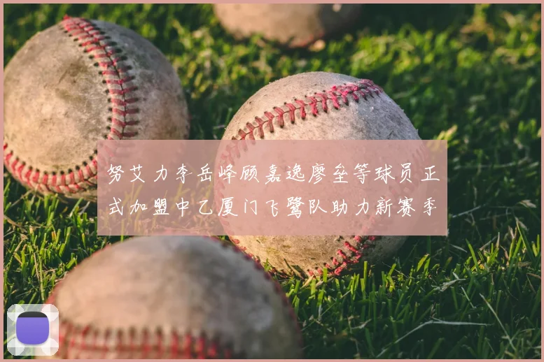 努艾力李岳峰顾嘉逸廖垒等球员正式加盟中乙厦门飞鹭队助力新赛季