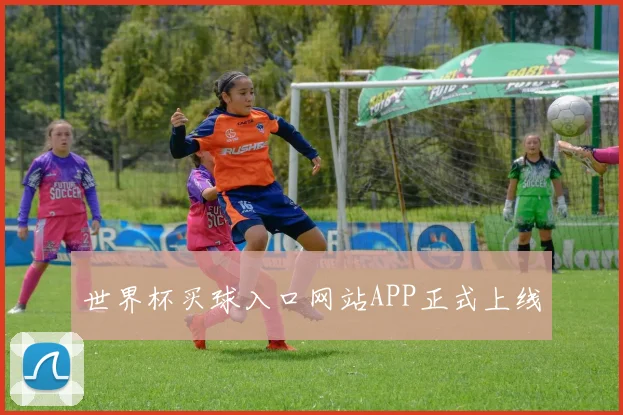 世界杯买球入口网站APP正式上线