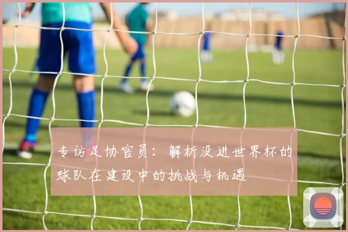专访足协官员：解析没进世界杯的球队在建设中的挑战与机遇