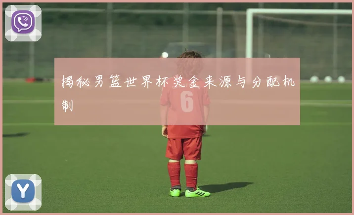 揭秘男篮世界杯奖金来源与分配机制