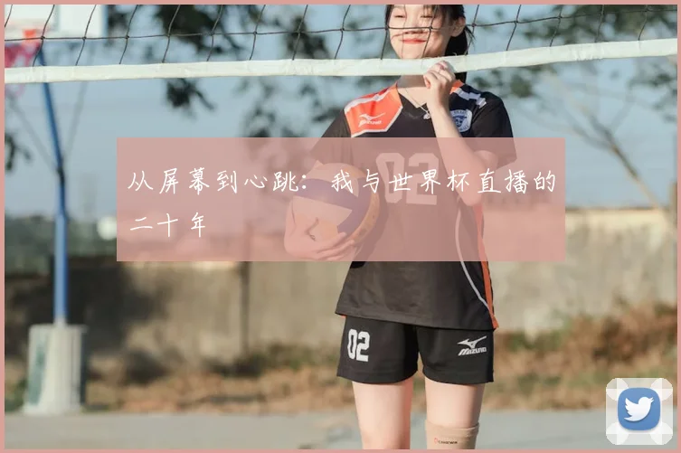 从屏幕到心跳:我与世界杯直播的二十年
