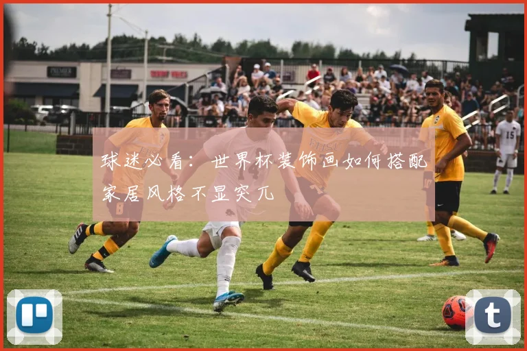 球迷必看:世界杯装饰画如何搭配家居风格不显突兀